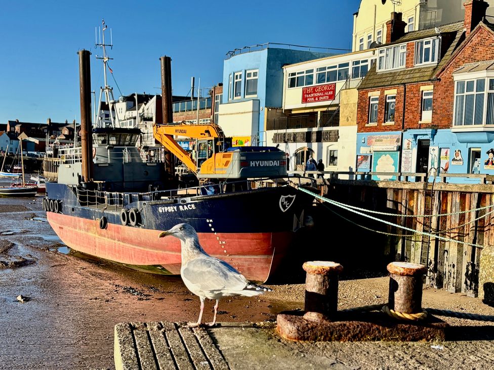 A boat docked at a pier with a seagull in foreground at Bobbies' Retreat, 20 High Street, Bridlington
