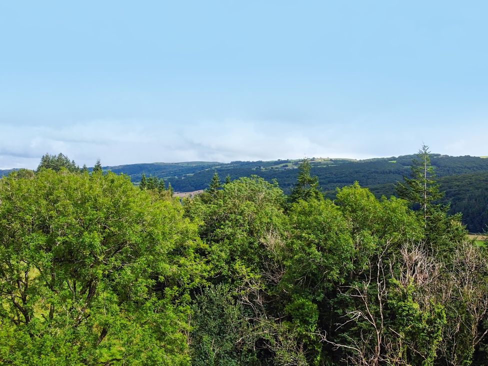 A landscape view of trees and hills at Greffyn in Betws-Y-Coed