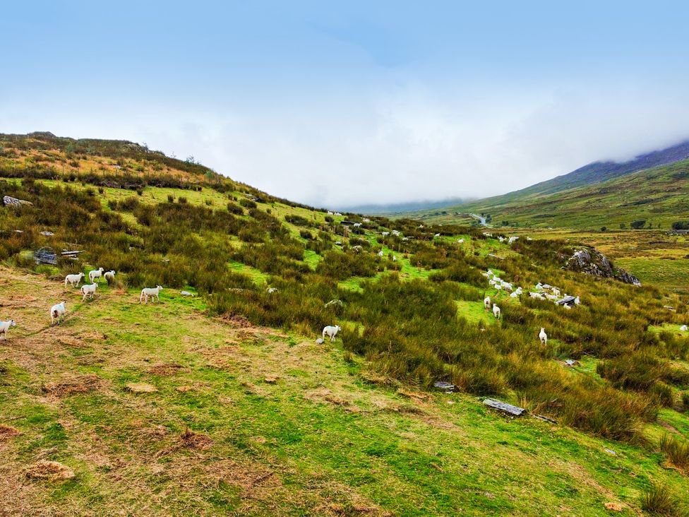 A landscape with sheep grazing on grass at Cwm in Capel Curig