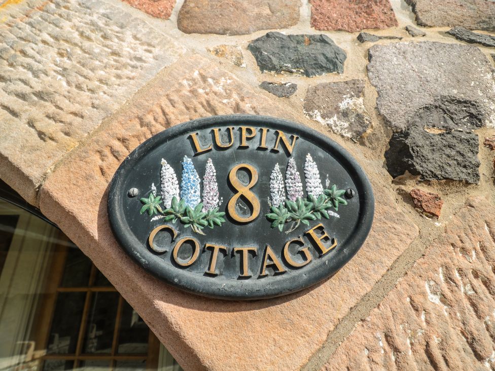 Lupin Cottage - Northumberland - 1070414 - thumbnail photo 3