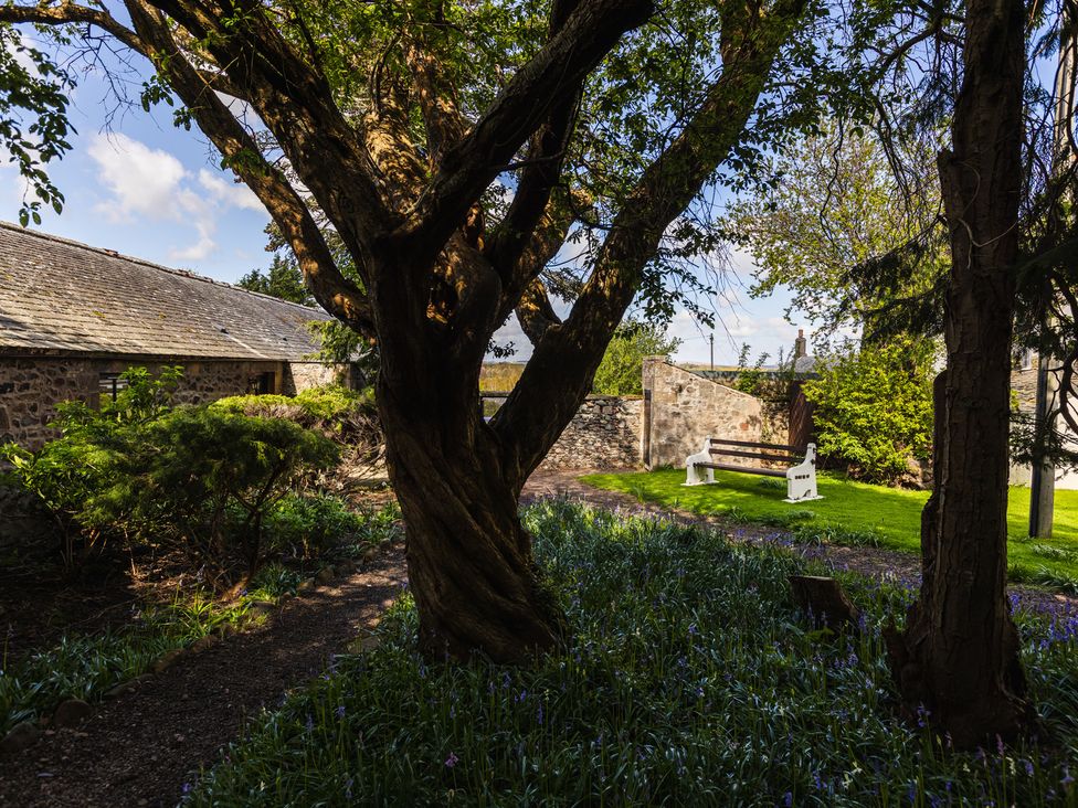 A garden with trees and a bench at Tile Rouge in Wooler