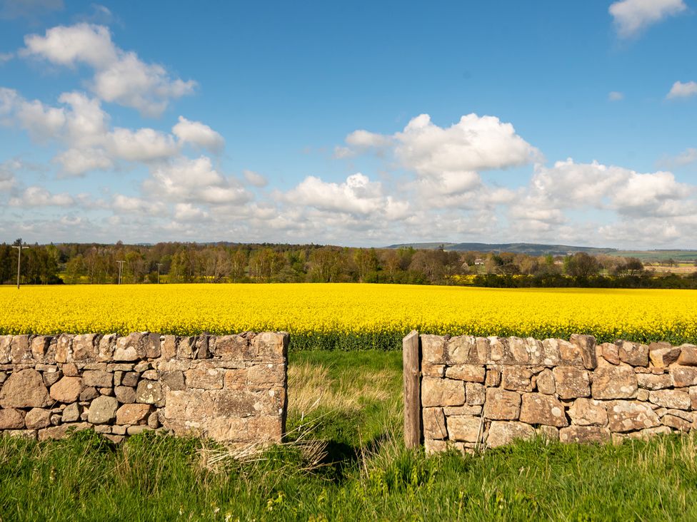 A stone wall with yellow fields and a blue sky at The Columbine in Akeld near Wooler