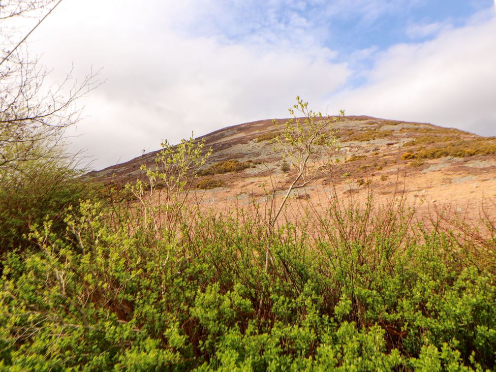 A mountain surrounded by bushes at Two Town End in Mungrisdale, Mosedale