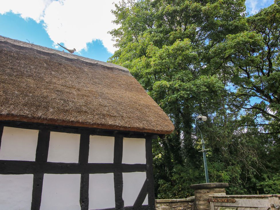 Manor Cottage - Shropshire - 1071781 - thumbnail photo 23