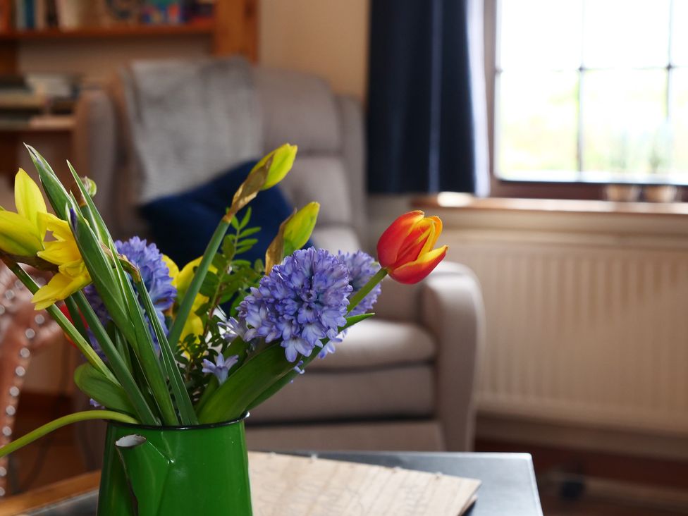 A flower vase on a table with an armchair in the living room at Albany @ Summerfield Farm Hawsker