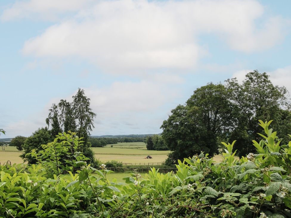 A scenic view of fields with trees and a horse at The Butler’s Quarters in Bourton near Much Wenlock