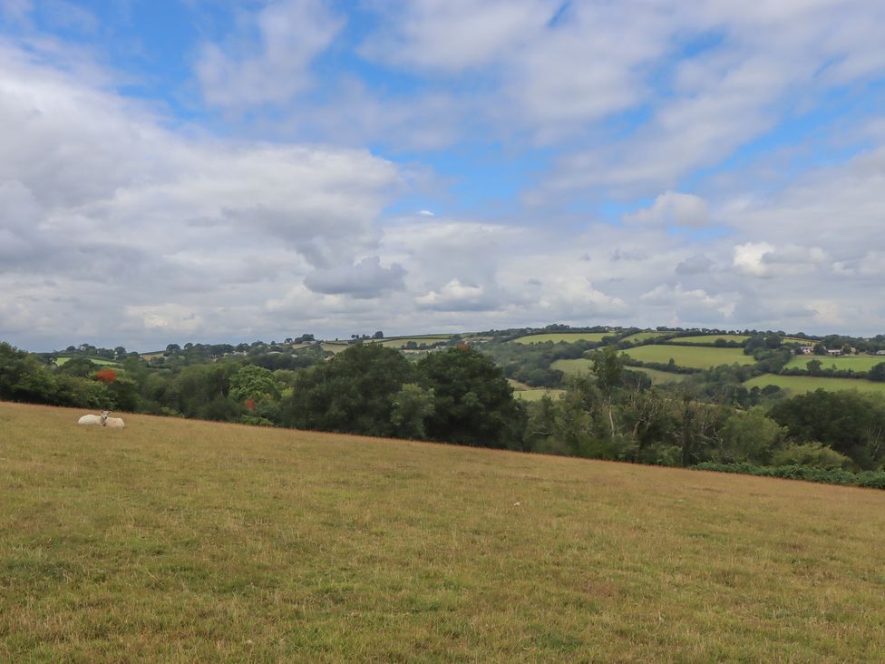 A field with sheep and hills in the background at The Pennymoor in Cadeleigh near Tiverton