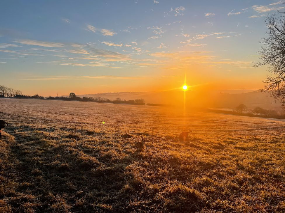 A field with the sun rising above at The Bickleigh in Cadeleigh near Tiverton