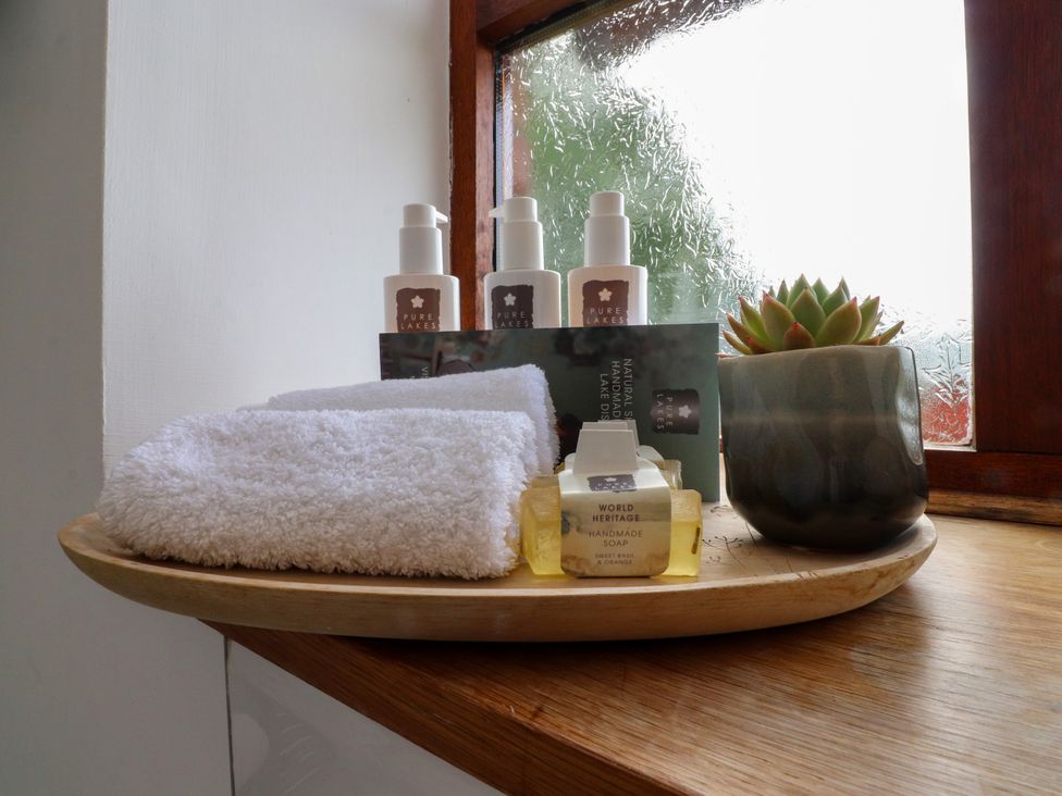 A bathroom setting with towels, liquid soap, and a plant at The Stables in Hall Green near Walmer Bridge
