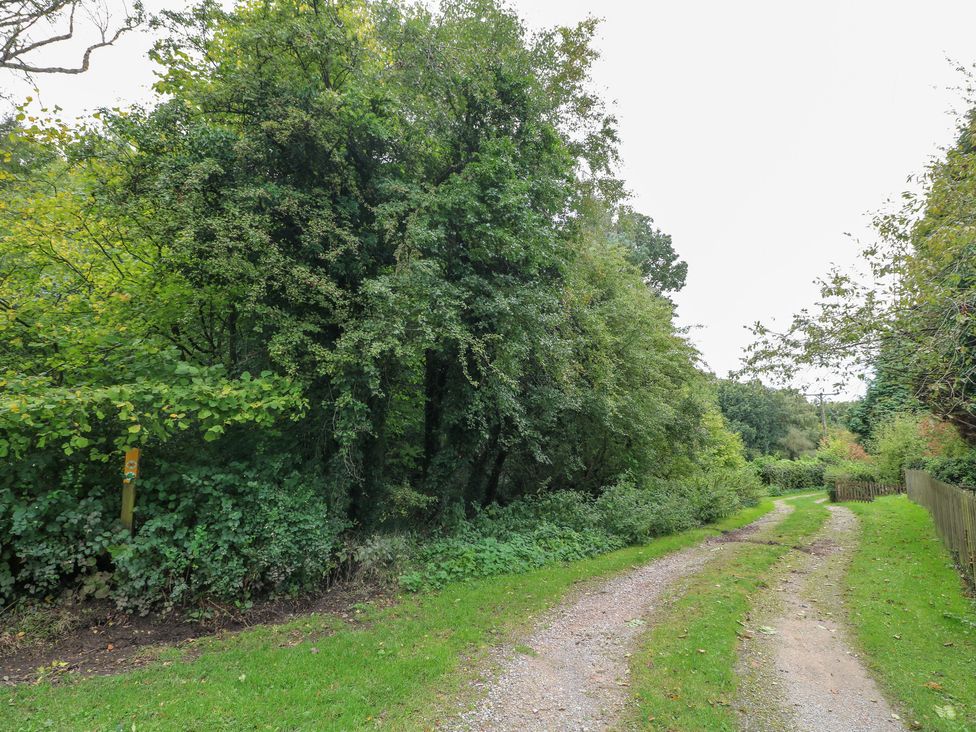 Woodpit Cottage - Peak District & Derbyshire - 1073630 - thumbnail photo 37