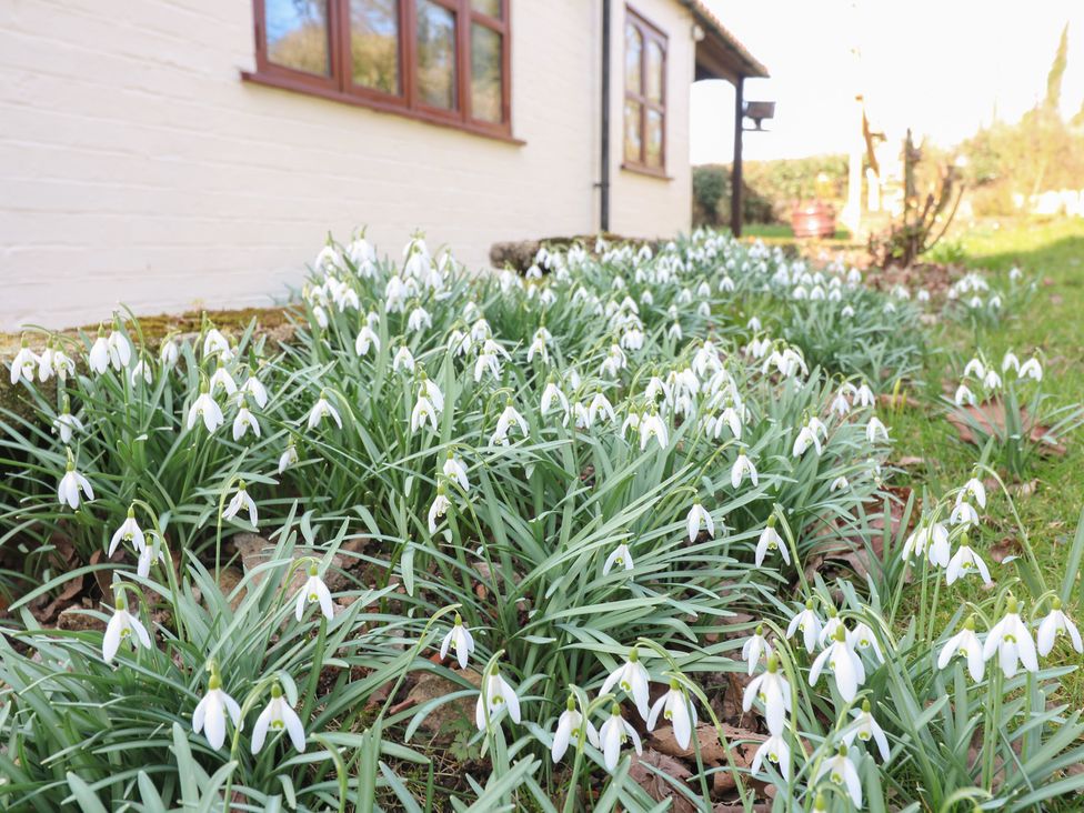 Woodpit Cottage - Peak District & Derbyshire - 1073630 - thumbnail photo 31