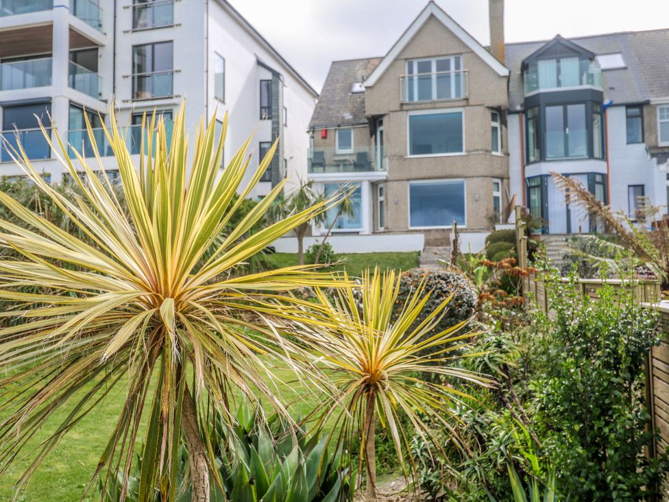A garden with plants in front of a building at Island View Carbis Bay