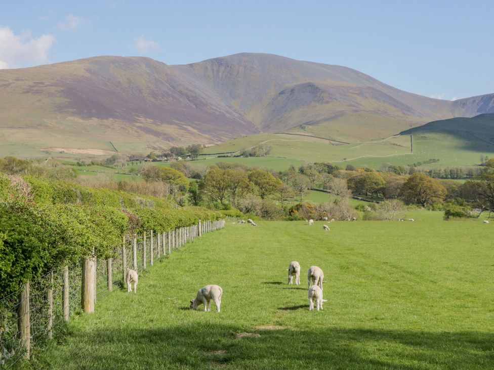 A landscape with sheep grazing in a field at Rosewall Retreat St Ives
