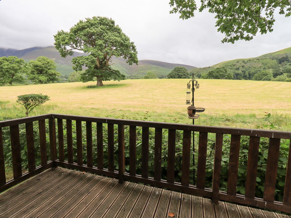 A view of a field and a tree from a balcony at Squirrels Leap Number 29, Burnside Park near Keswick