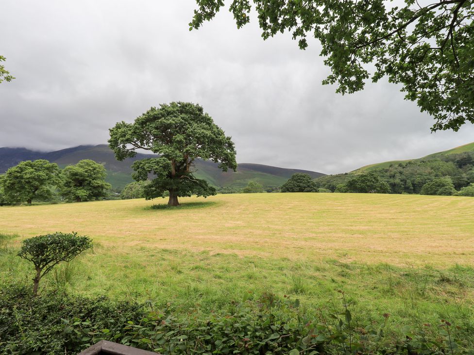 A field with a tree in the center at Squirrels Leap near Number 29, Burnside Park near Keswick