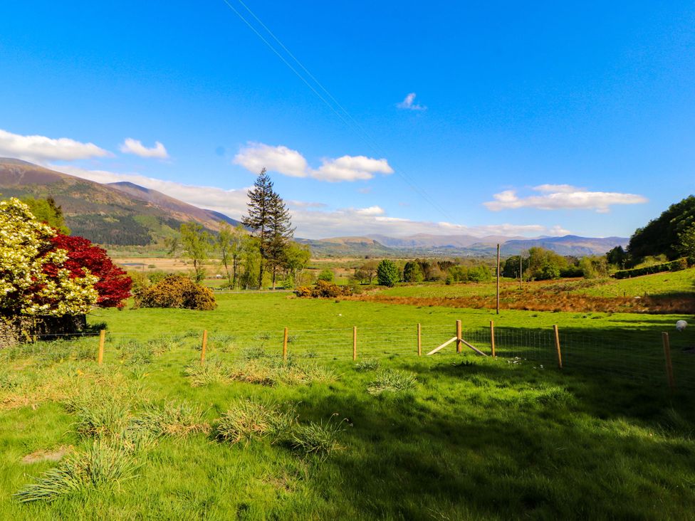 A field with grass and trees at Swallow's Nest in Thornthwaite near Braithwaite