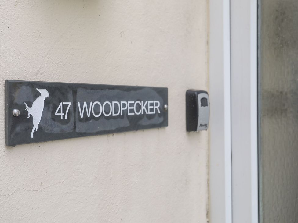 Woodpecker - North Wales - 1075260 - thumbnail photo 2