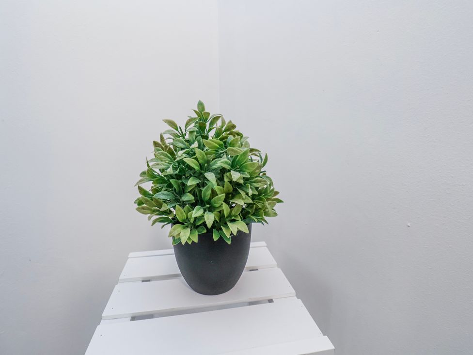A plant in a pot on a table at 34 Fountain Close in Whitby