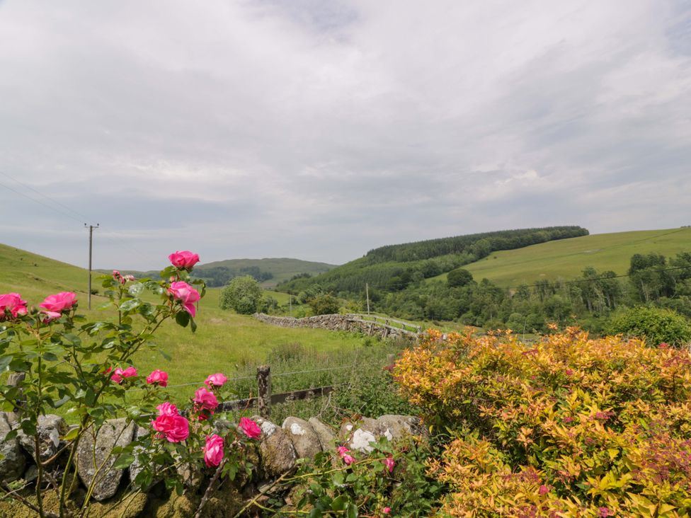 A view of hills and flowers at Townhead of Auchenbainzie near Thornhill