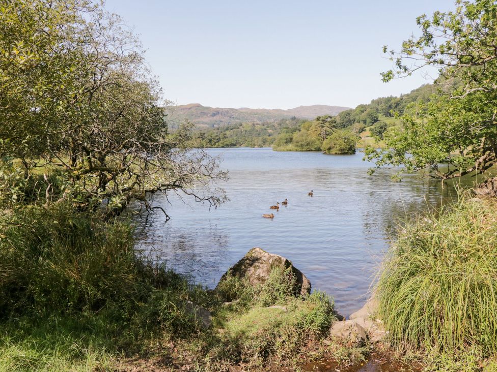 A lake with ducks and trees at Hideaway Cottage Penrith