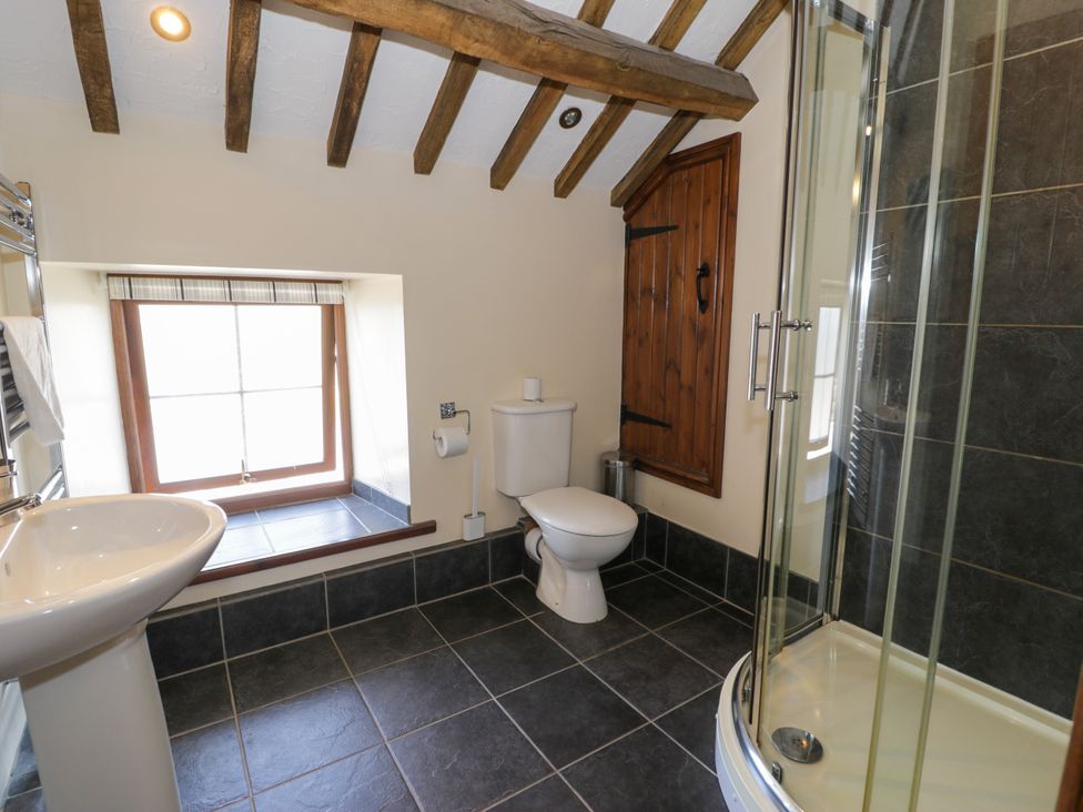 A bathroom with sink toilet and shower at Bwthyn Y Wennol Dolwen near Abergele