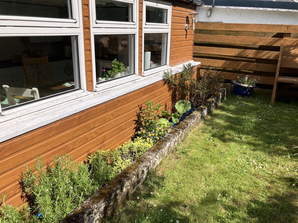A garden with windows and plants at 3 Dunrobin Street Tain
