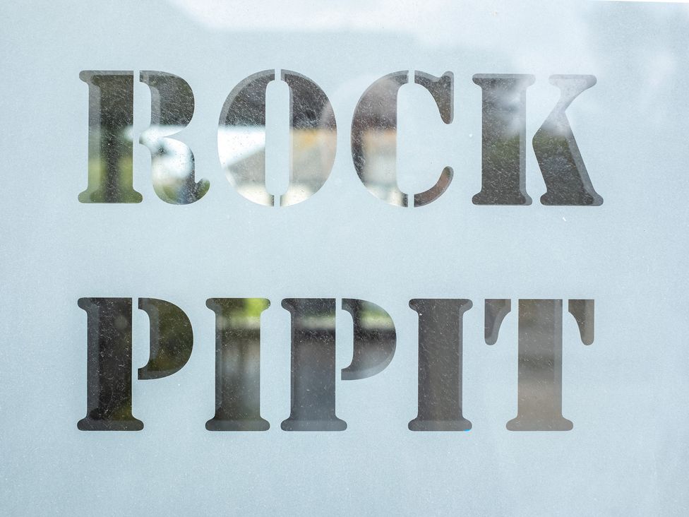 Rock Pipit - Cornwall - 1080394 - thumbnail photo 4