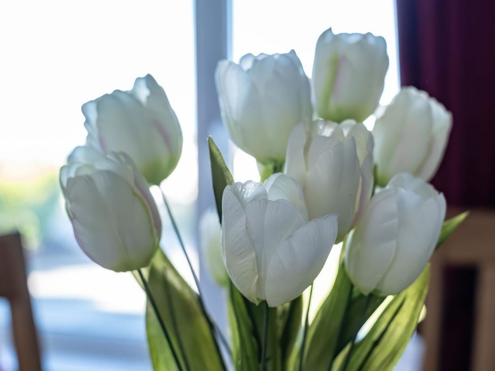 A bouquet of white tulips on a table at Hillview in Polzeath