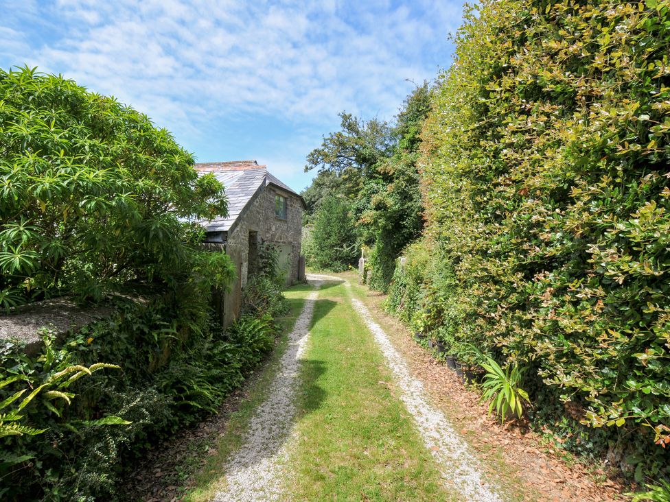 A path leading to a house surrounded by hedges and plants at Orchard Cottage in Polzeath