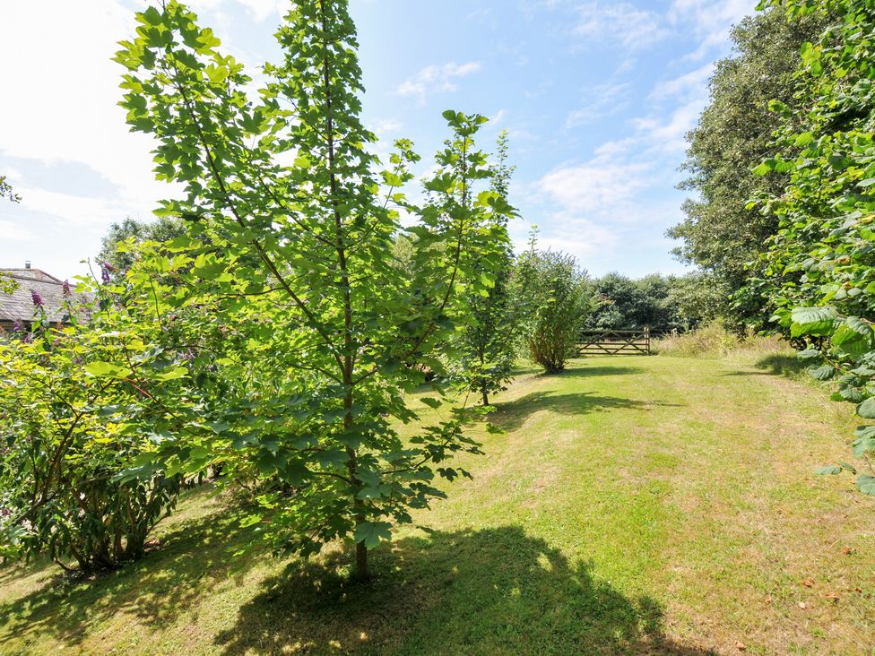 A garden with trees and grass at Orchard Cottage Polzeath