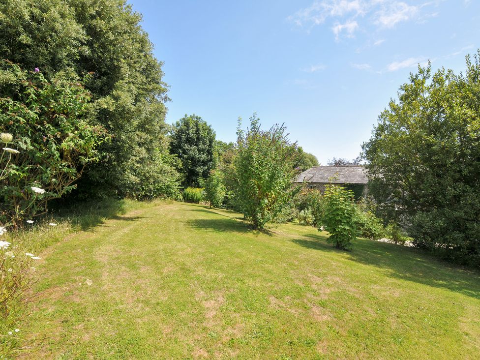 A garden with trees and a path leading to a shed at Orchard Cottage in Polzeath