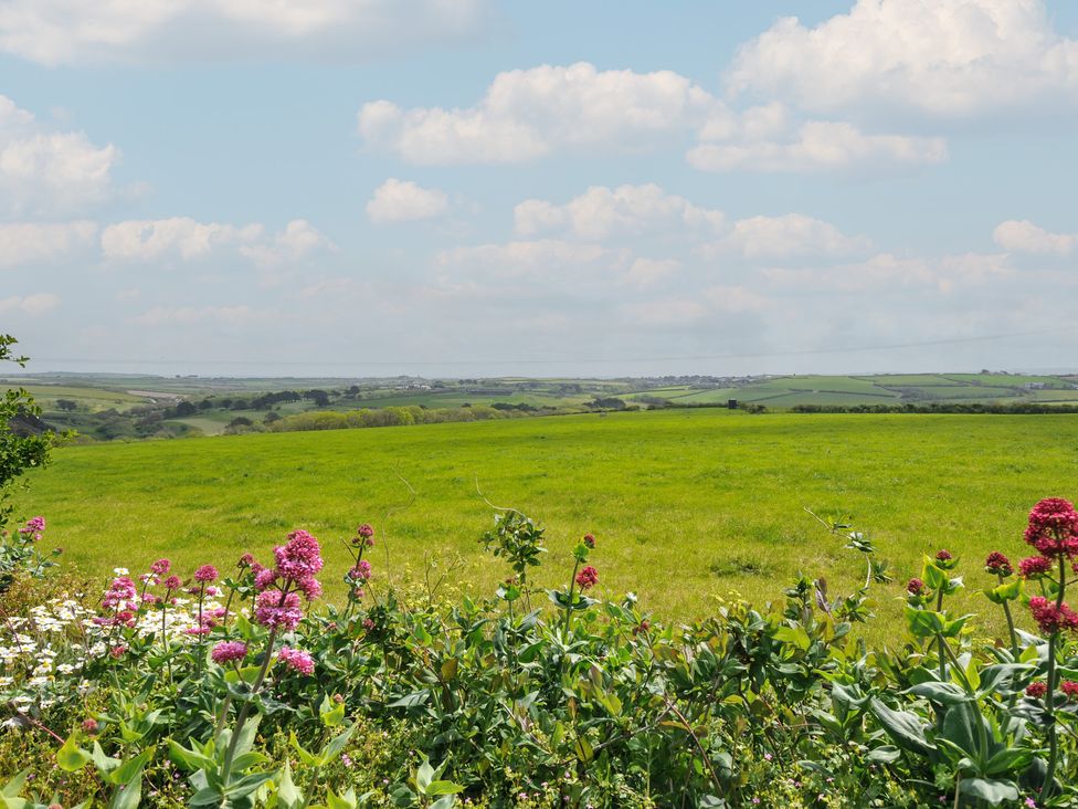 A view of fields and flowers at Hillcroft Bungalow in Daymer Bay