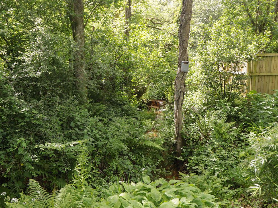 A lush area with trees and a stream at Charlecote House in Saundersfoot