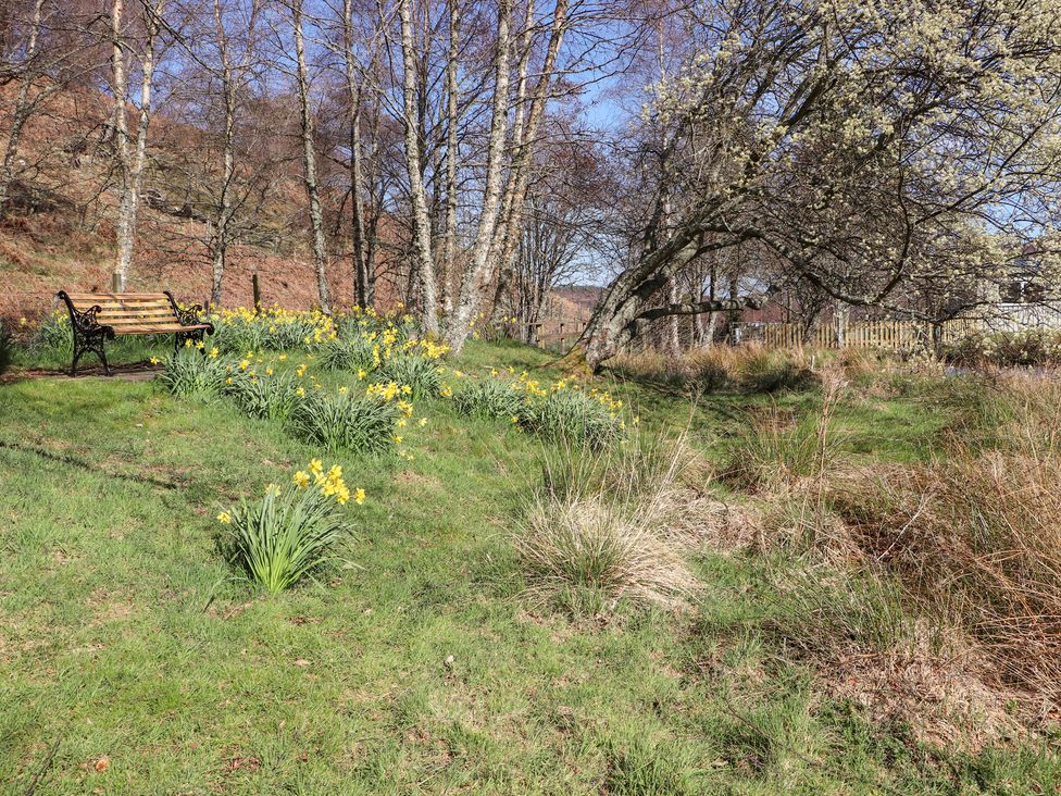Hazel - Scottish Highlands - 1081926 - thumbnail photo 33