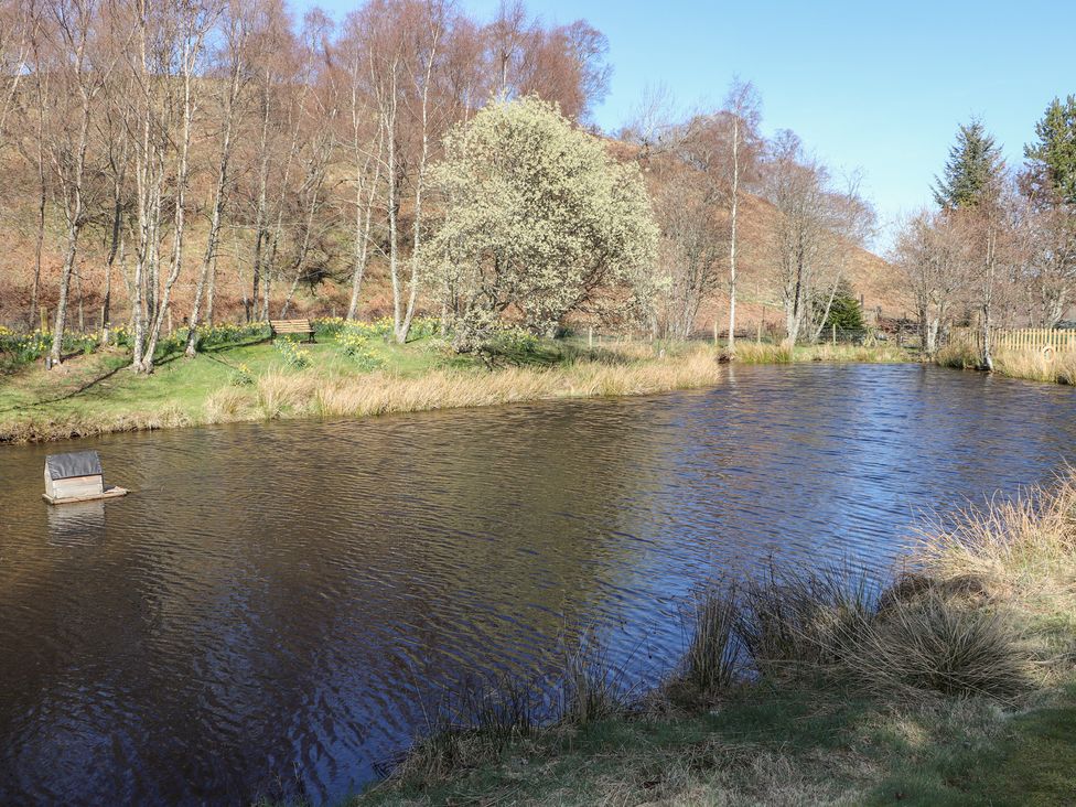 Hazel - Scottish Highlands - 1081926 - thumbnail photo 34