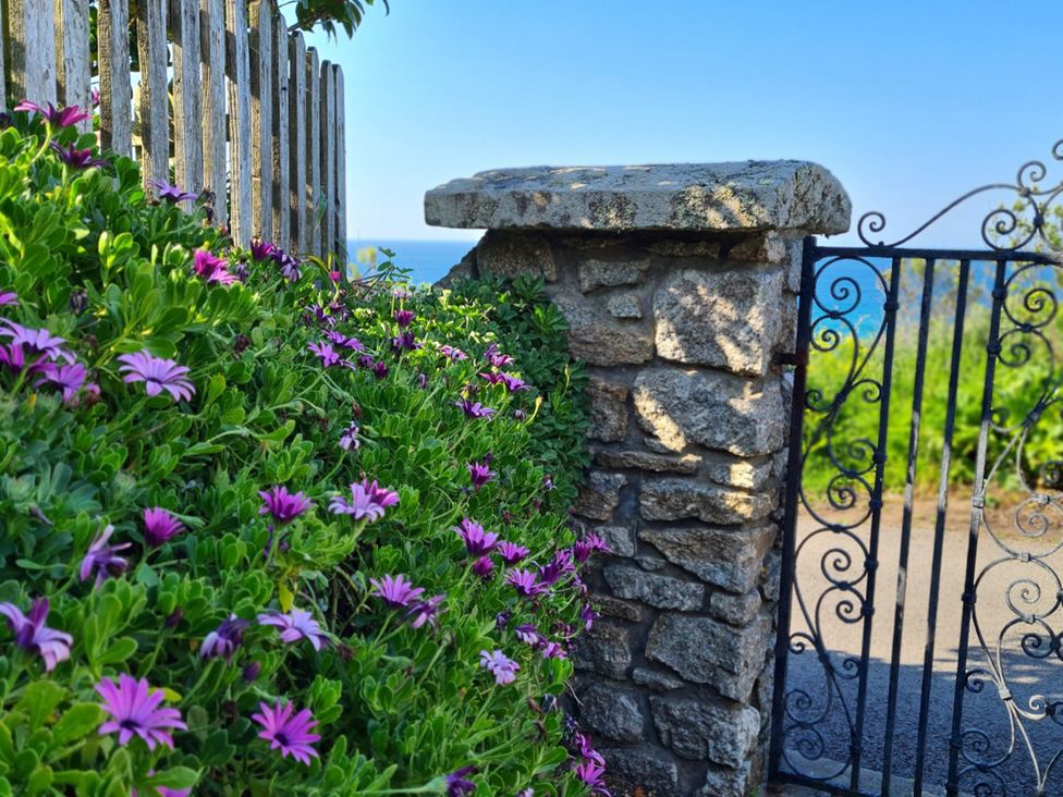 A garden with flowering plants and a stone wall at Stonecroft in Praa Sands