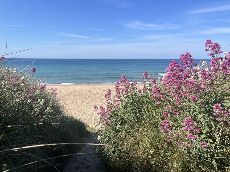 A beach with sand and flowering plants at Stonecroft in Praa Sands
