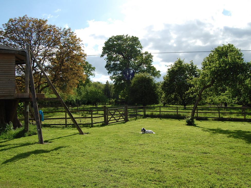 A garden with a treehouse and a dog at Carreg Cennen Cottage Llandeilo