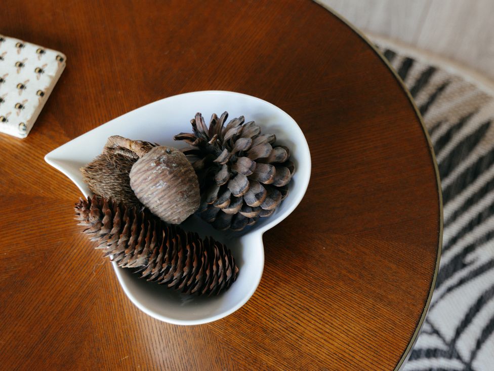 A bowl with pine cones and acorn on a wooden table at The Observatory Annexe in Westcott near Dorking