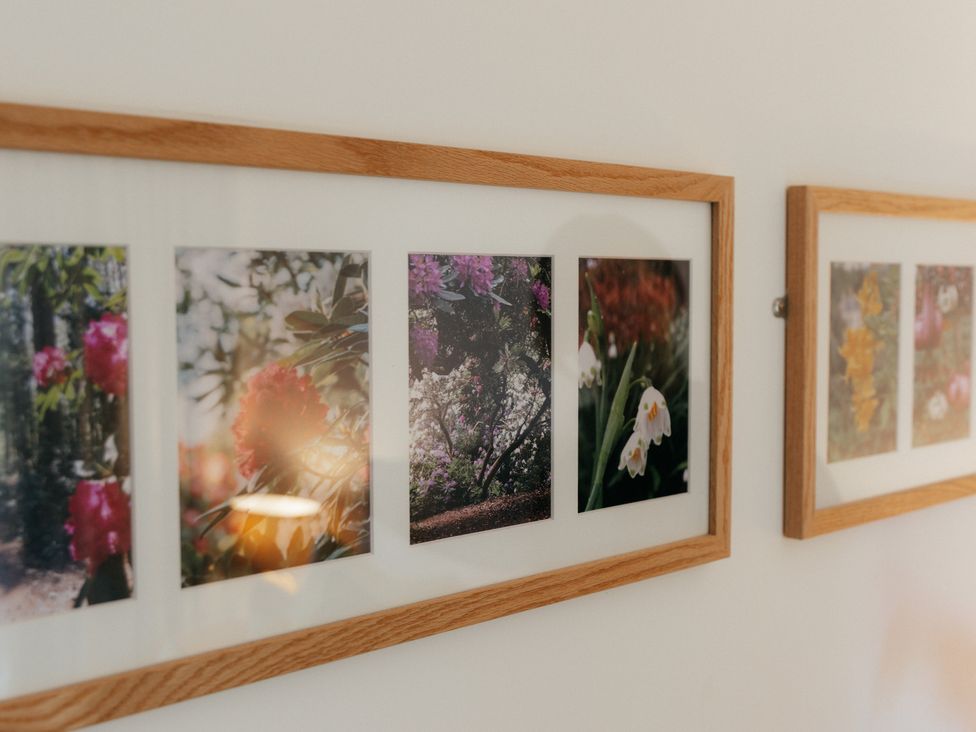 Framed photographs of flowers on a wall at The Observatory Annexe in Westcott near Dorking