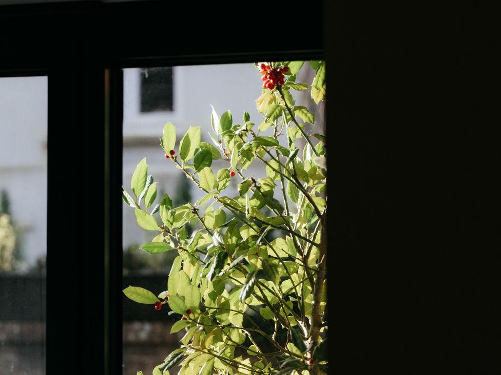 A view through a window showing leaves and berries at The Observatory Annexe in Westcott near Dorking