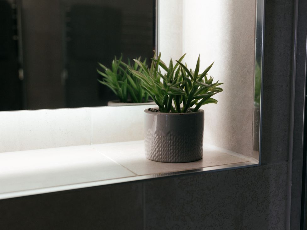 A plant in a pot on a shelf near a mirror at The Observatory Annexe in Westcott near Dorking