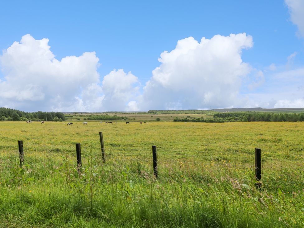 The Barn, Drumbow Farm -  - 1083538 - thumbnail photo 36