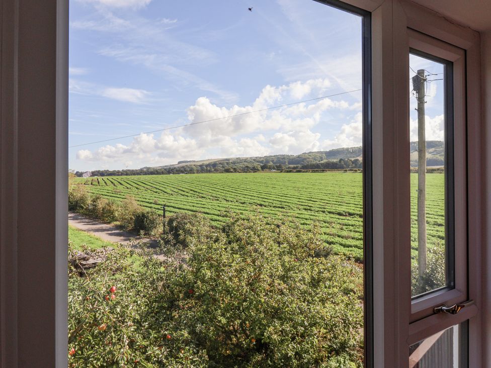 A view from a window showing a field with trees and a road at East Cottage in East Knapton near Rillington