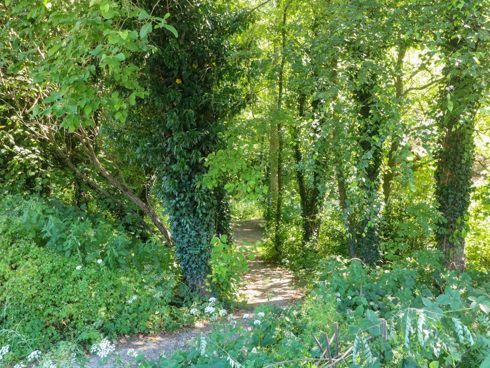 A pathway through greenery at Bluebell Barn Stoke-on-Trent