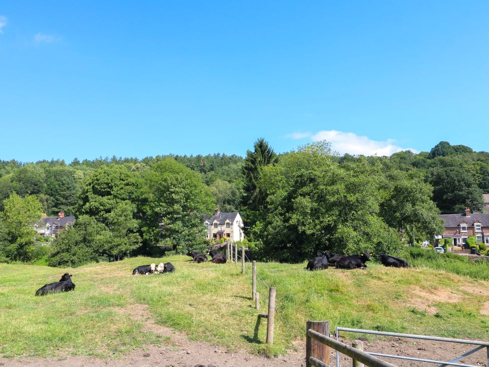 Cows resting on grass with houses and trees in the background at Bluebell Barn in Oakamoor
