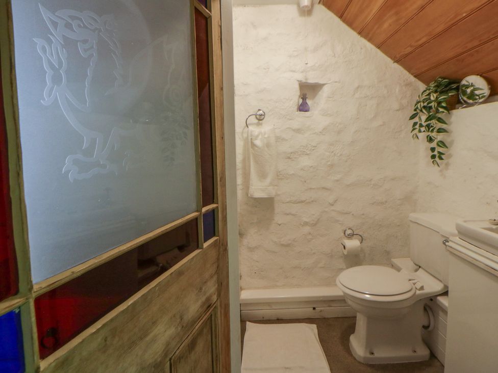 A bathroom with a toilet and sink at Sycamore Vestry Pontfaen near Fishguard