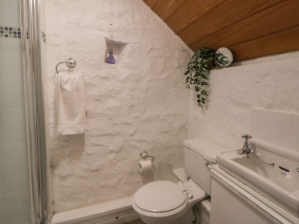 A bathroom with a shower, sink, and toilet at Sycamore Vestry, Pontfaen near Fishguard
