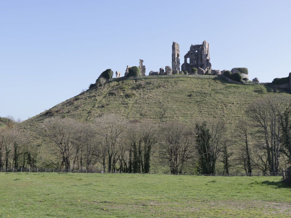 Castle ruins on a hill with trees and grass in the foreground at The Barn in Lytchett Matravers