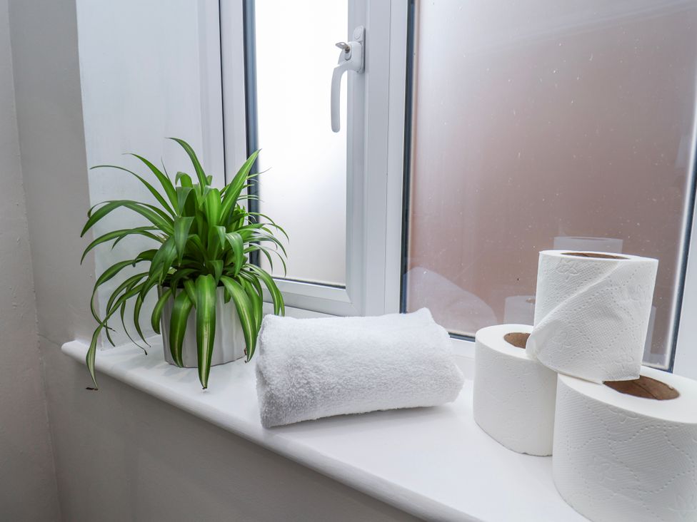 A bathroom window with a plant, towel, and toilet paper at 24 Baxtergate in Whitby